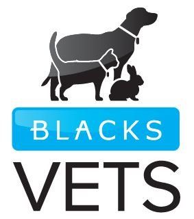 Blacks Vets Logo