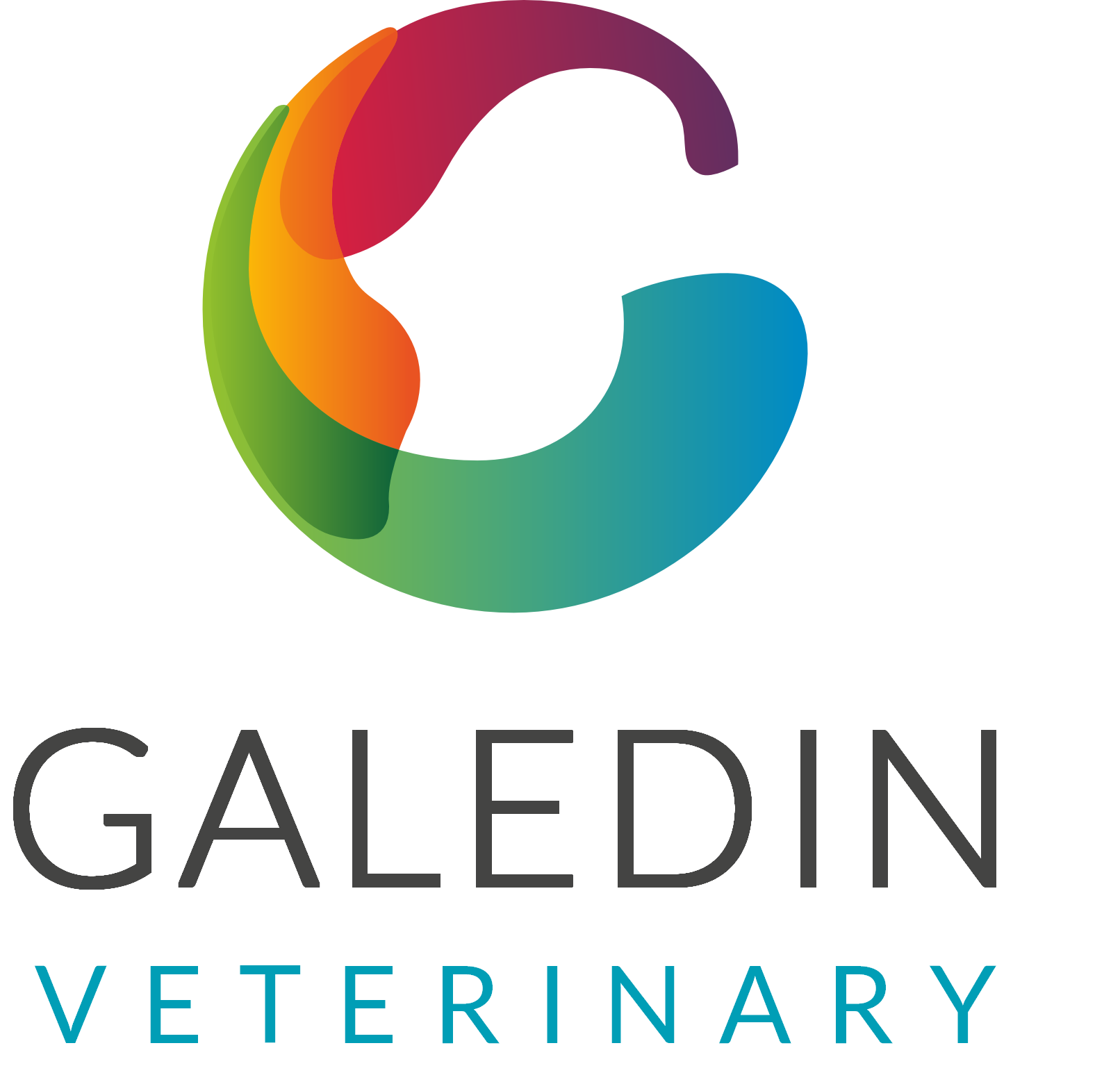 Galedin Ltd Logo
